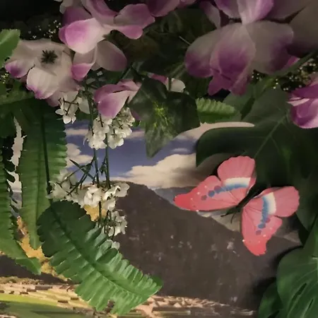 Hafentraum Indoorcampinghostel