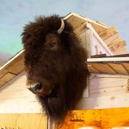 Hafentraum Indoorcampinghostel Hostal *