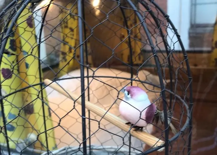 Hafentraum Indoorcampinghostel Vandrarhem Bremen