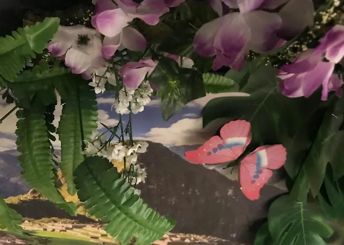 Hafentraum Indoorcampinghostel