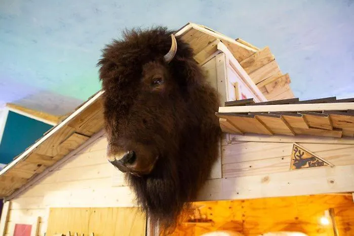 Hafentraum Indoorcampinghostel Hostel *